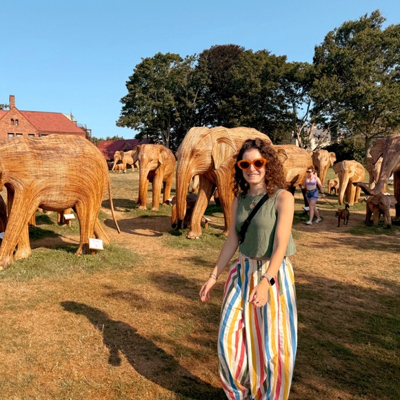 Meet your Posher, Samantha - Picture 1 of 1